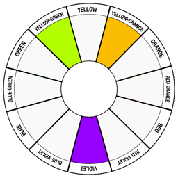 Split Complement - Violet/Purple