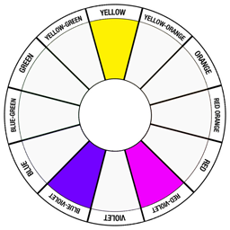 Split Complements - Yellow