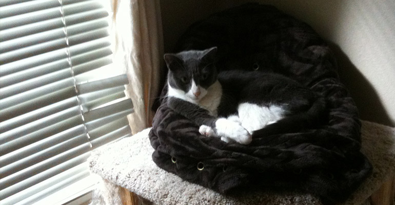 Mamma Nipples Lilly
