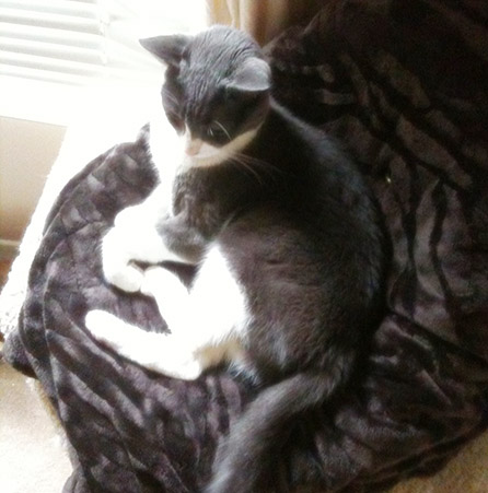 Mamma Nipples Lilly
