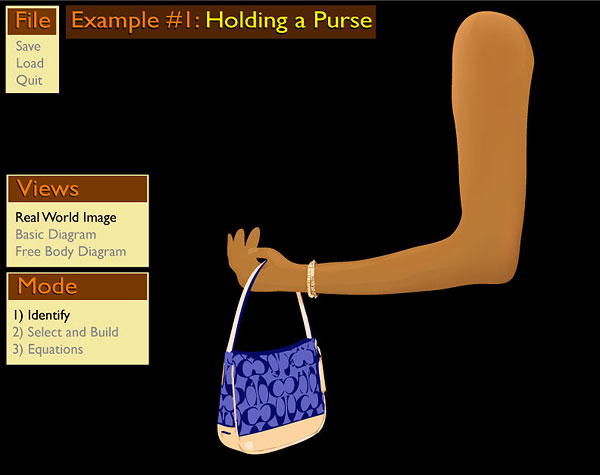 The Purse Problem: Real World Image