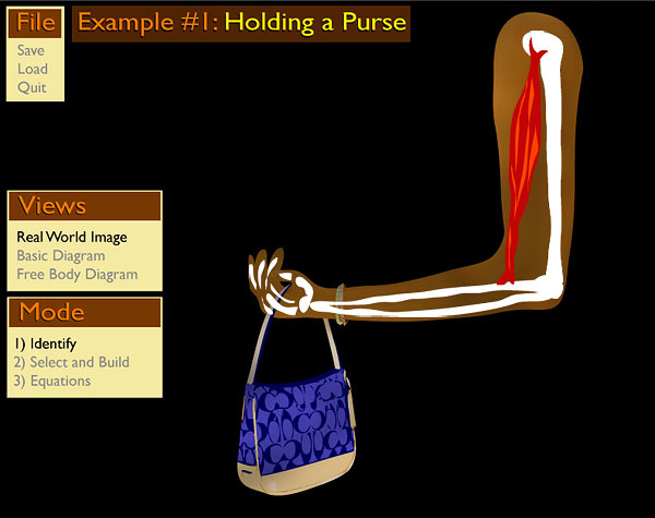 The Purse Problem: Muscle and Bones provide Basic Structure