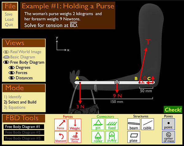 The Purse Problem: All the Forces are Applied to the Free Body Diagram