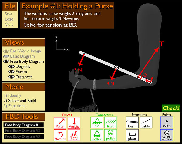 The Purse Problem: Checking the Equilibrium of Applied Forces