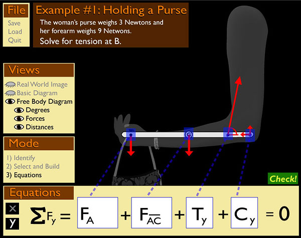 The Purse Problem: Building Equations